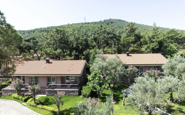 D Resort Ayvalık