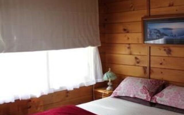 Nikau Haven Bed & Breakfast