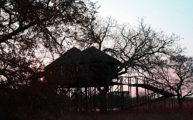 Marcs Treehouse Lodge