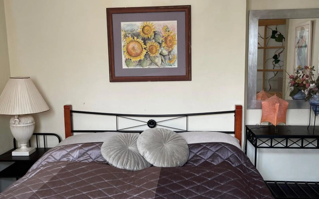 Buda Hills villa apartment