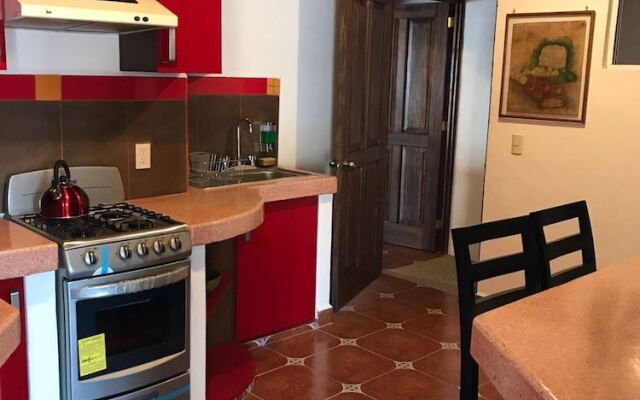 Depa Xochitl Down Town