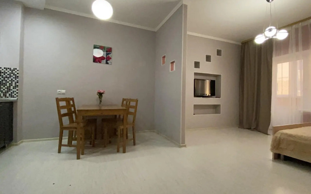 Апартаменты на улице 50 лет ВЛКСМ 19