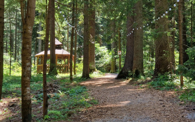 PinePino Borovets, aparthotel Borovets Gardens A60