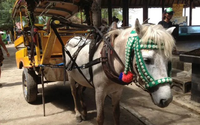 Gili Countrysaid Villa