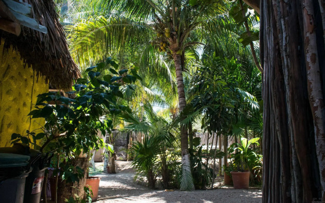 Cabañas Casa Maya Holbox Frente Al Mar