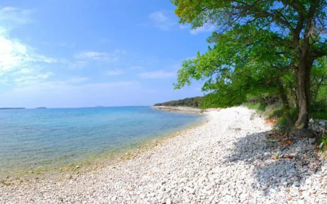 Villa Ecological Bird's Heaven