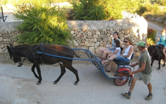 Finca Sa Cova Vella