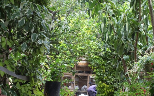 Tranquil homestays
