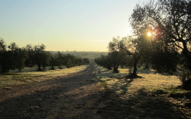 Hacienda Dos Olivos