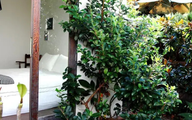 Bronte Sea Garden Tranquil Apartment