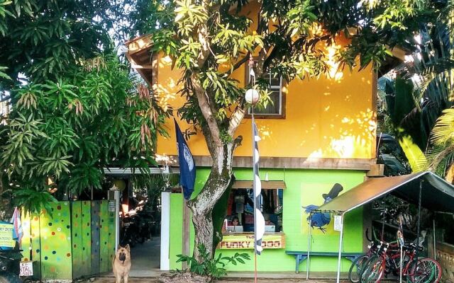 The Funky Dodo Backpackers