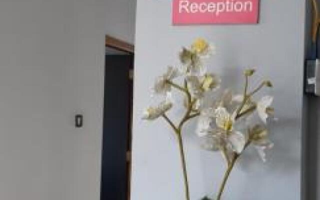 Green HAVEN Stay shillong