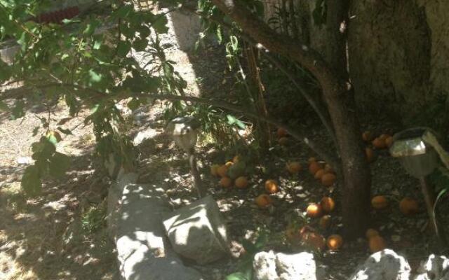 Coquet T3 a 500m de la Mer