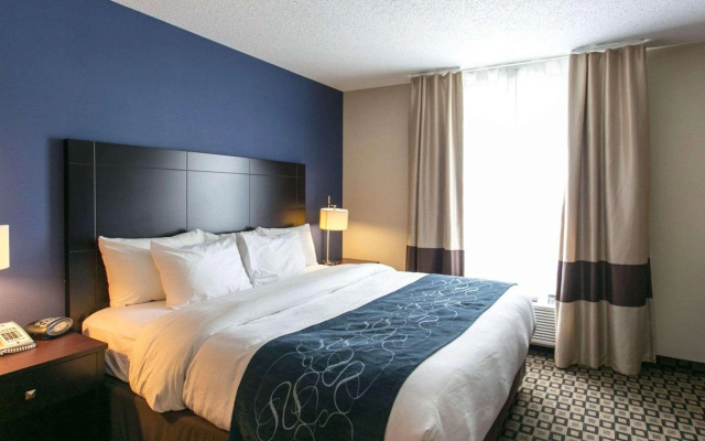 Comfort Suites Benton Harbor - St. Joseph