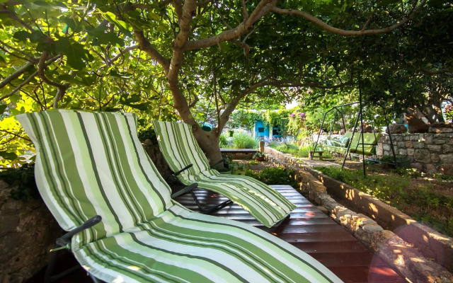 Apartment House Art Bol