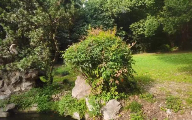 Lotus Tangyuese Homestay (Changshu Road)