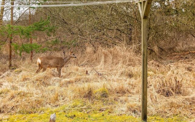 6 Person Holiday Home in Romo