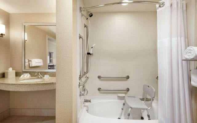 Hilton Garden Inn Minneapolis Downtown