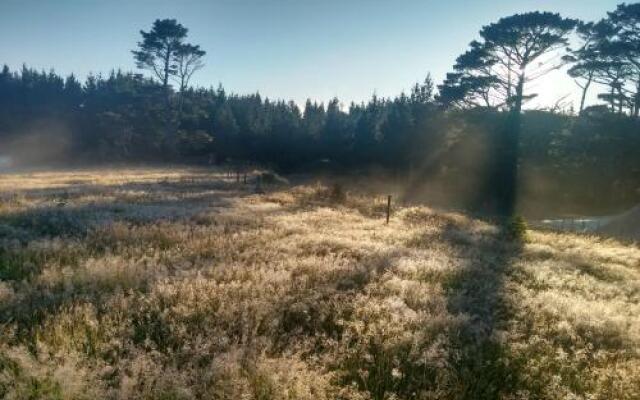 Pupu Rangi Nature Sanctuary