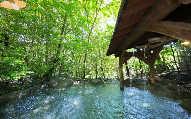 Kurokawa Onsen Oyado Noshiyu