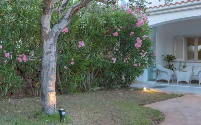 L'ulivo Mare Blu Ostuni by Typney -P8