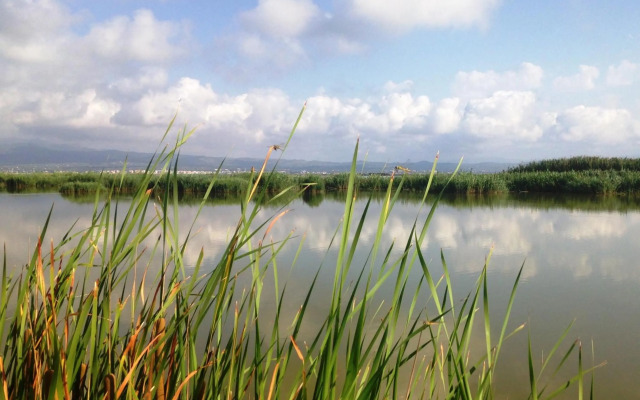 Apartament Deltament