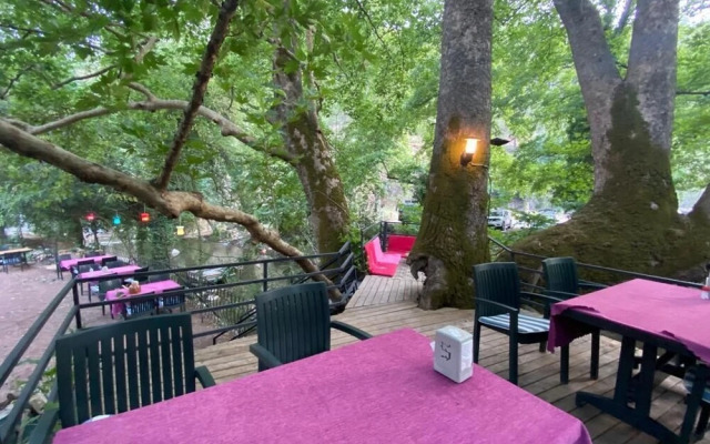Yörükpark Otel Restoran