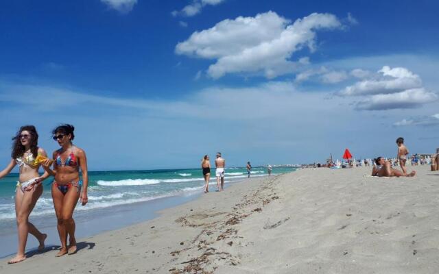 I tulipani di Torre Pali