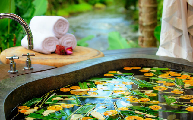 Fivelements Retreat Bali, Ubud