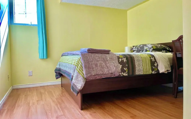 Room around York University Subway