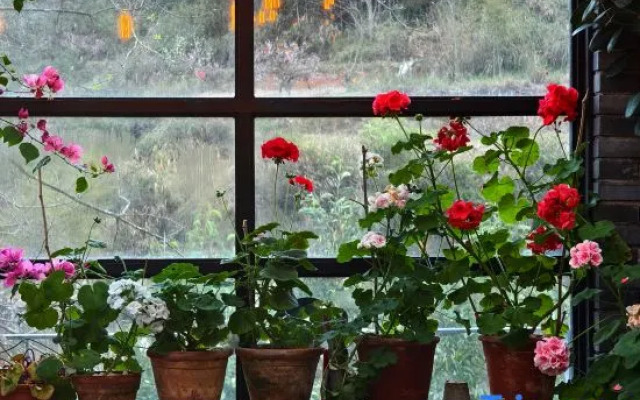 Xianhe Mountain Guesthouse