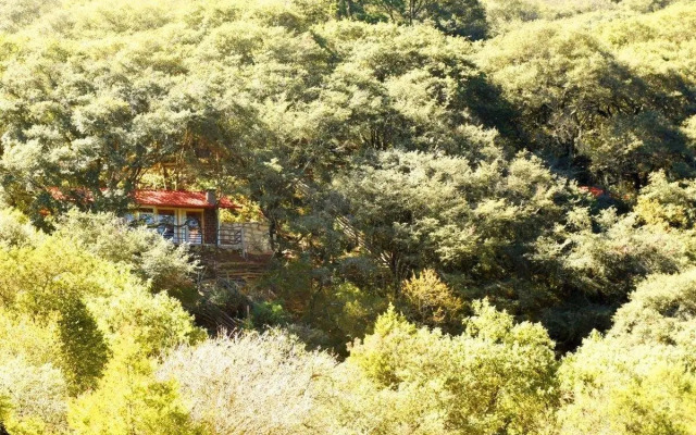 Cabaña El Encino II en Real del Monte