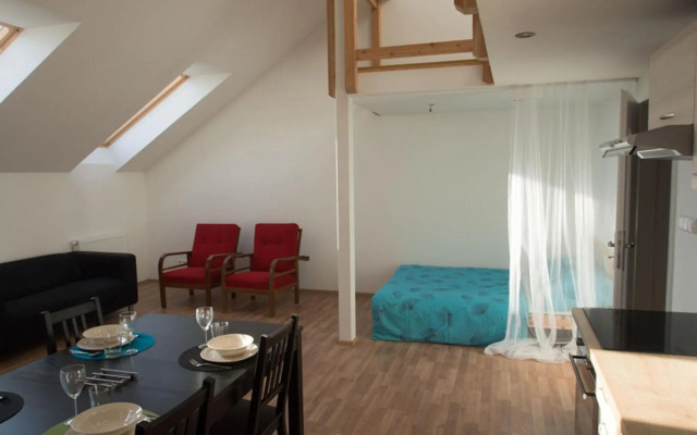 Apartment Brno Reissigova