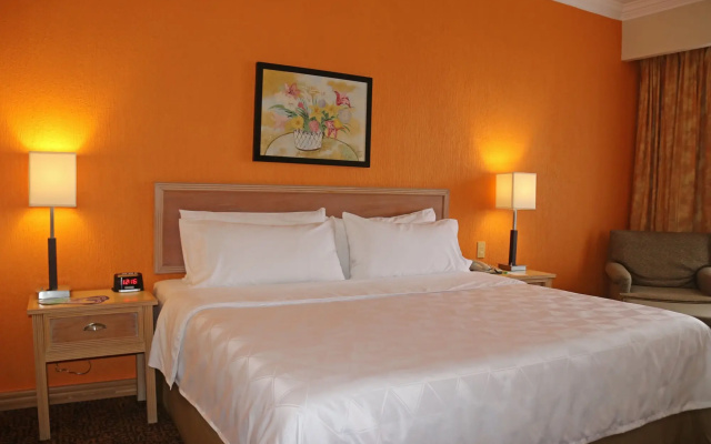 Holiday Inn La Piedad by IHG