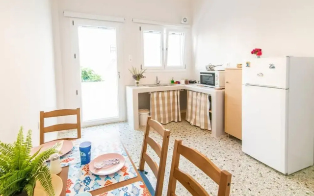 Mimosa The Mosaic Home