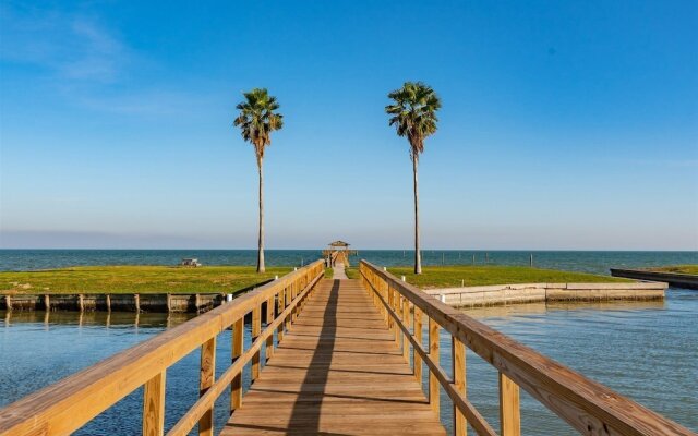 Rrycc #78 - Golden Gull