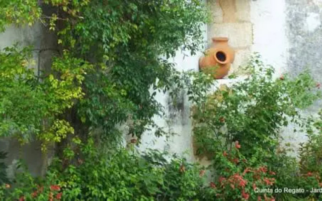 Quinta do Regato
