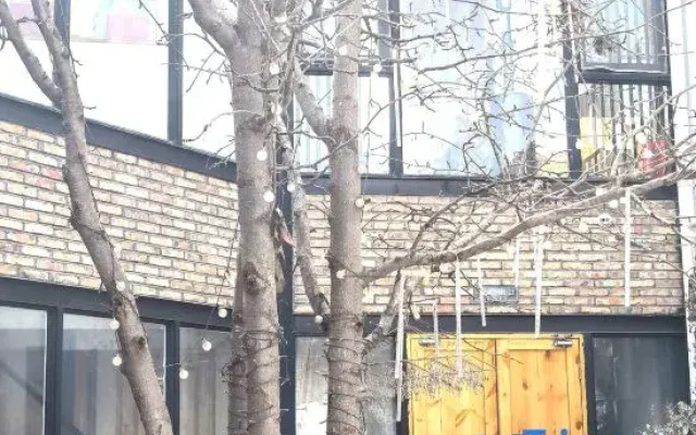 Walking Road Book Courtyard