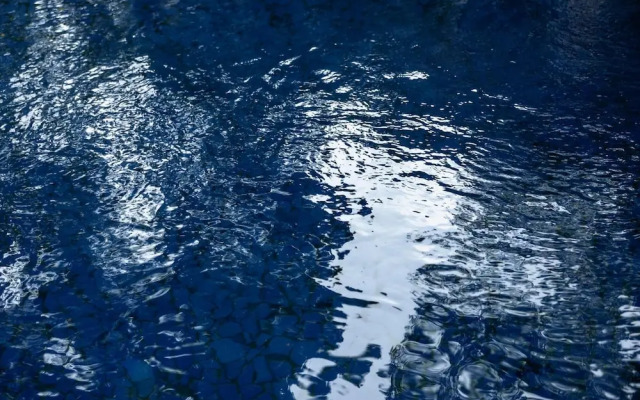 The 5 Sandalwood Lodge is Situated in Mount Pleasant - 2019