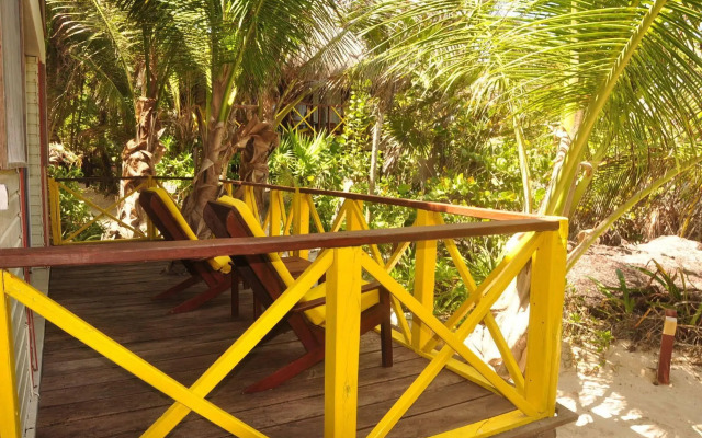 Nueva Vida de Ramiro