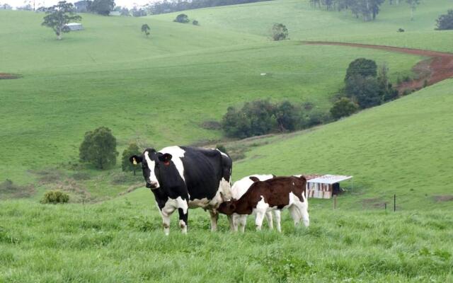Manderley Park Farmstay B&B