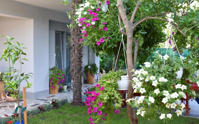 Apartments & Rooms Marinka