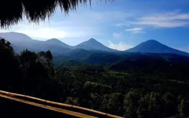 Munduk Don Biyu