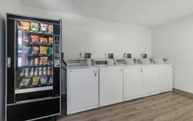 Birch Hill Suites - Lakeland
