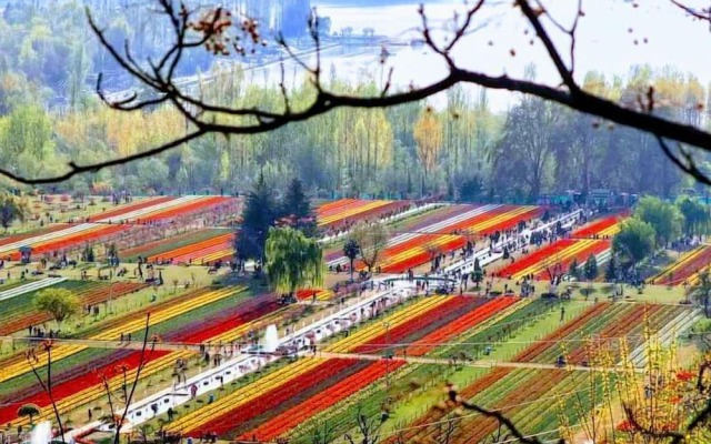 Kashmir Holiday Resort