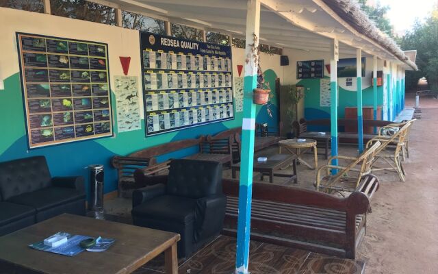 New DaVinci Beach & Diving Resort