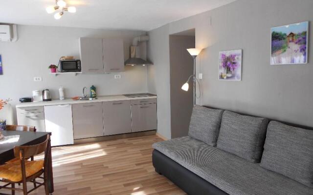 Apartments Hlapi with SPA