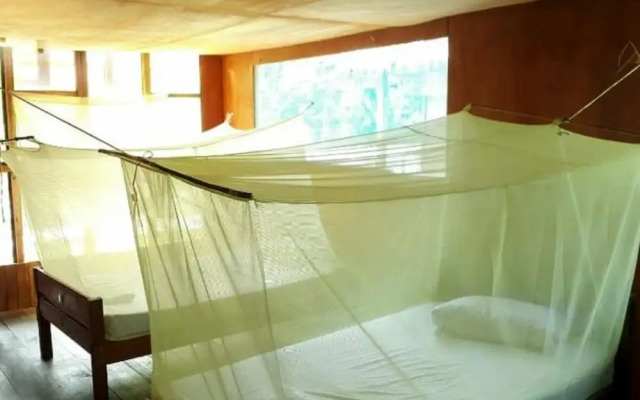 My Amazon Lodge