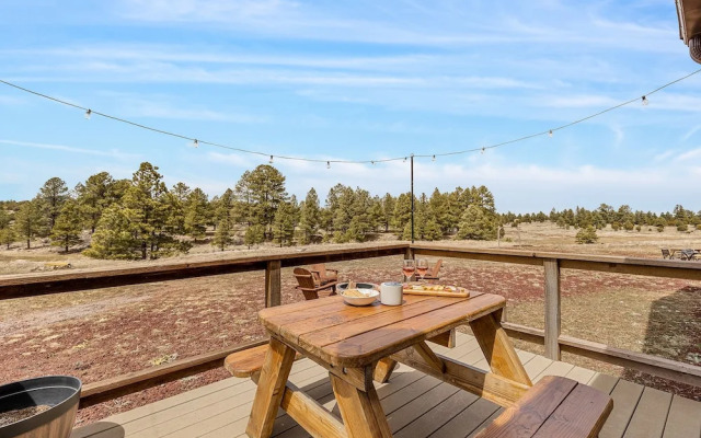 Trapper's Rendezvous