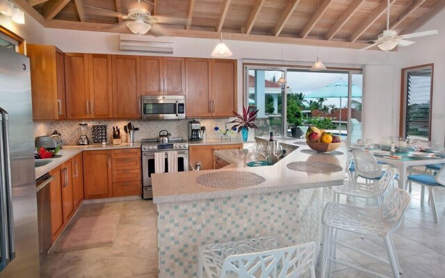 Virgin Gorda Villa Rentals